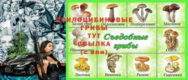 молекула духа Алексеевка