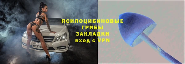 молекула духа Алексеевка