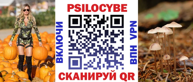 Псилоцибиновые грибы Psilocybe  Октябрьск 